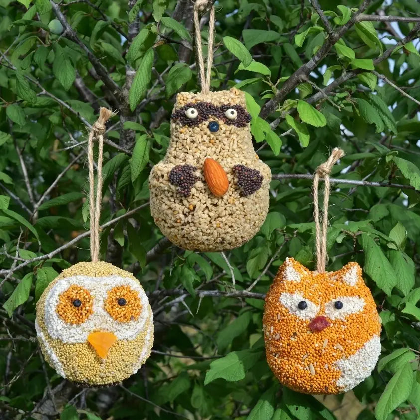 Woodland Friends Assorted Wild Bird Treats
