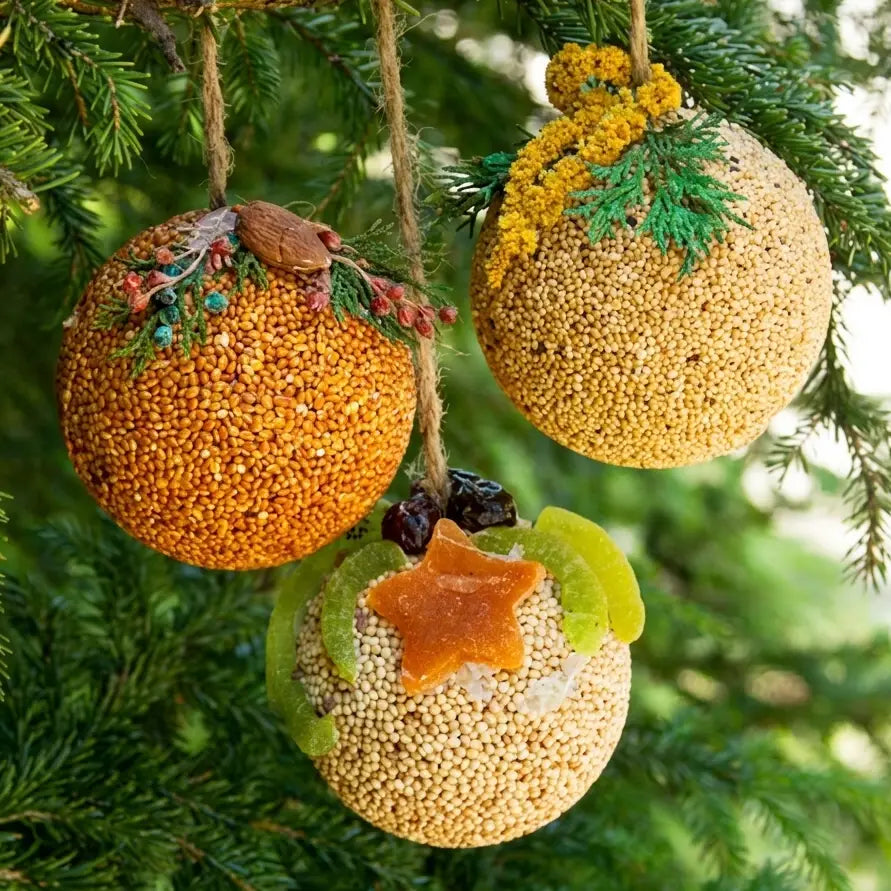Fruit Ornament Ball Assorted Wild Bird Treats