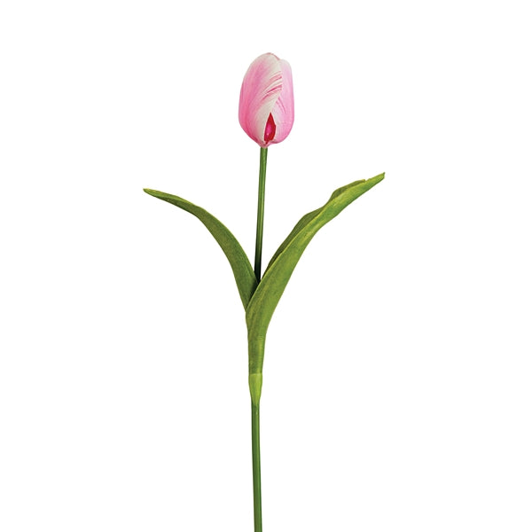 Tulip Pick