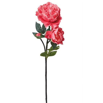 Pink Peony Stem