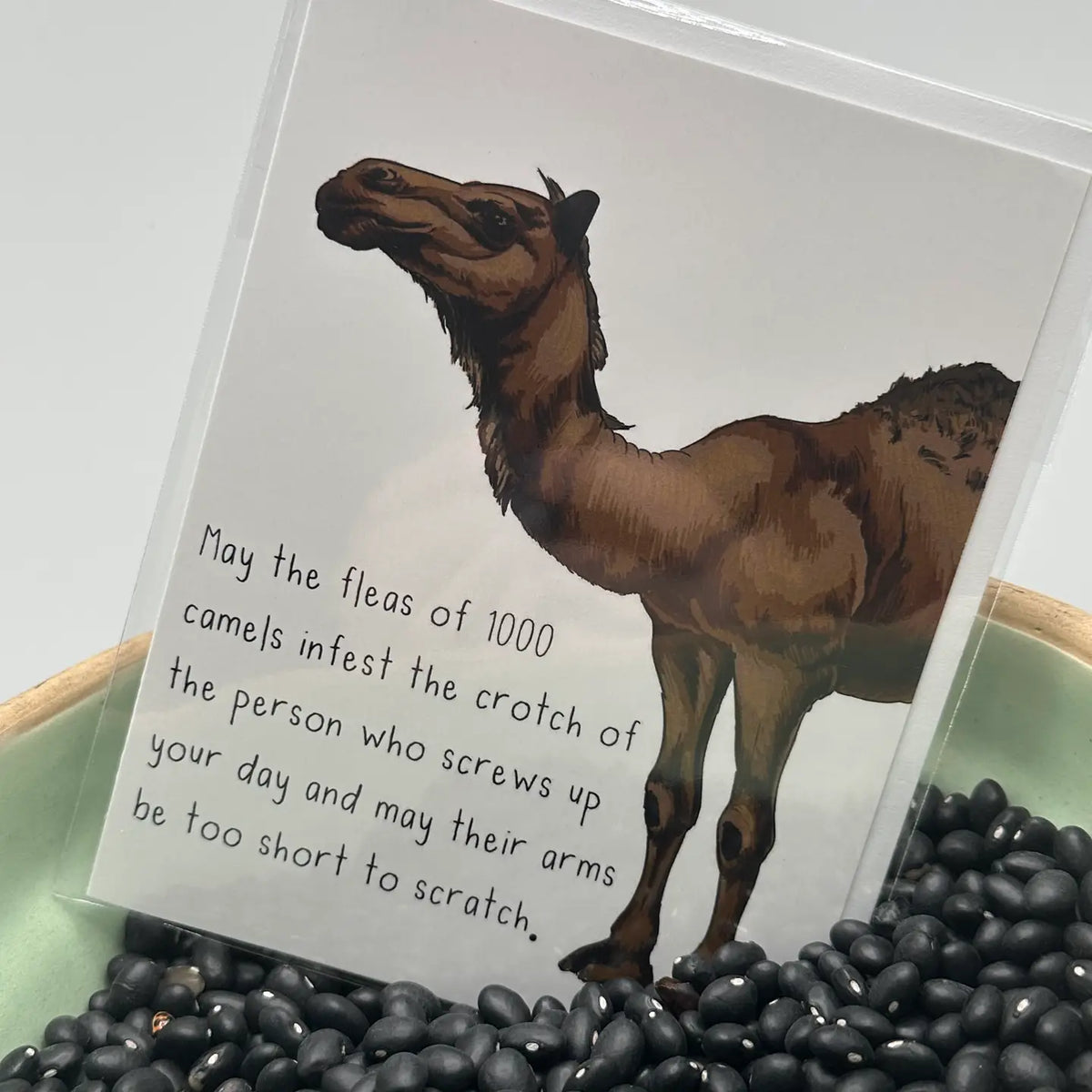 May the Fleas Greeting Card