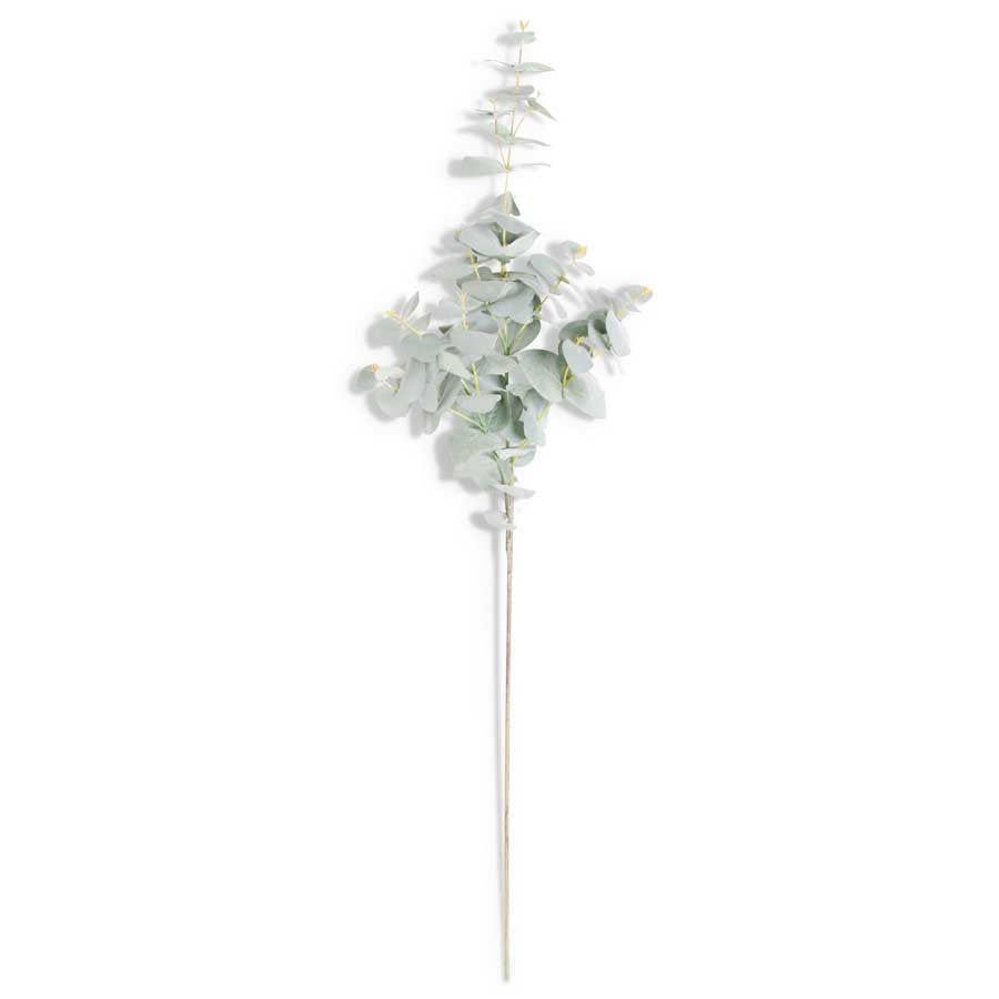 Powdered Green Eucalyptus Spray