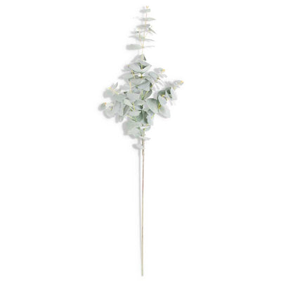 Powdered Green Eucalyptus Spray