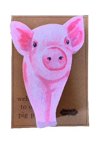Farm Animal Scrubber Sponges pig