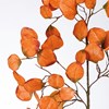 Load image into Gallery viewer, Orange Eucalyptus Floral Pick
