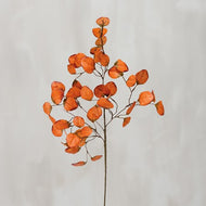 Orange Eucalyptus Floral Pick