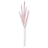 Glittered Red & White Flocked Spiral Spike