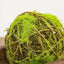 Mossy Twig Ball