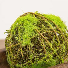 Load image into Gallery viewer, Mossy Twig Ball
