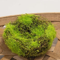 Mossy Vine Birdnest