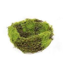 Mossy Vine Birdnest