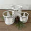 Christmas Tree Candle Holders- 3 Sizes (Sold Separately)