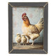 Mama Chicken & Babies Framed Print