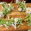 Garland With Daisies, Stephanotis and Assorted Greens