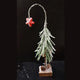 Snowy Shooting Star Mini Tree