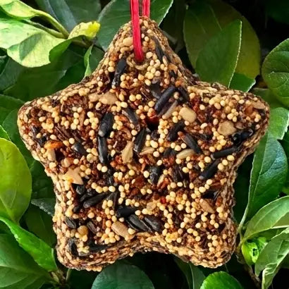Little Star Wild Bird Treats