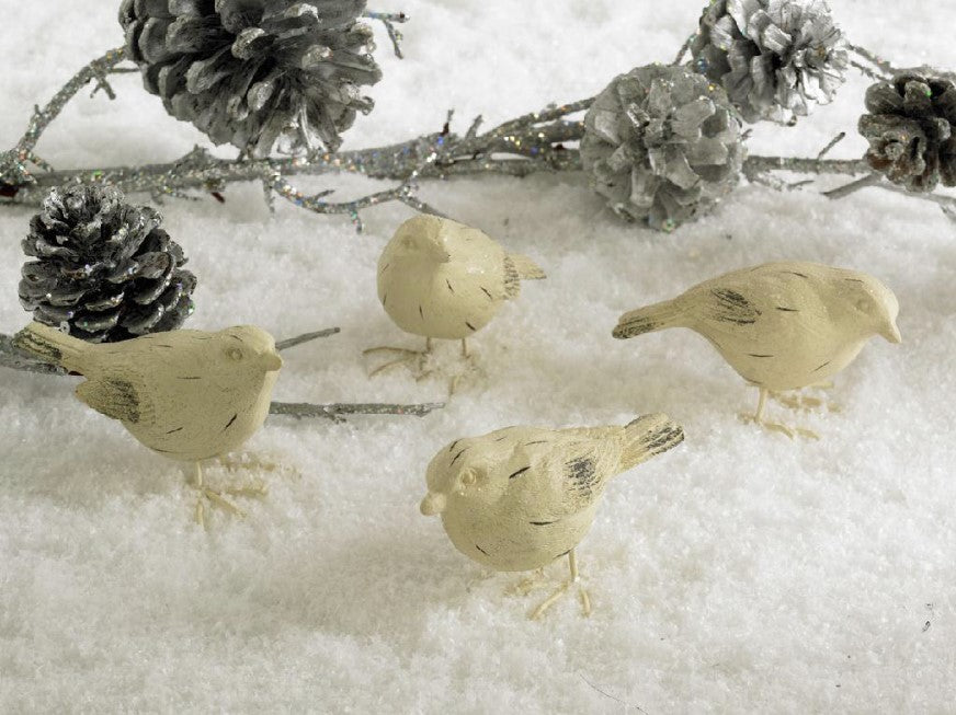 White Sugared Birds