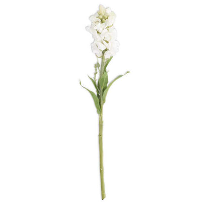 White Stock Flower Stem