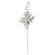 Powdered Green Eucalyptus Spray