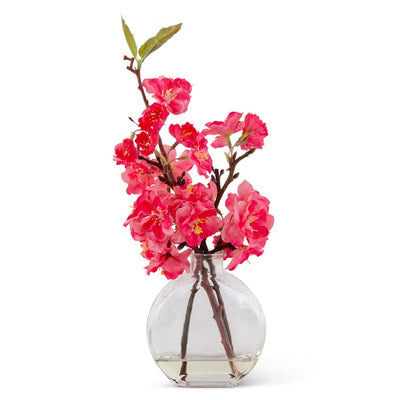 Fuchsia Cherry Blossom in Flat Round Glass Vase