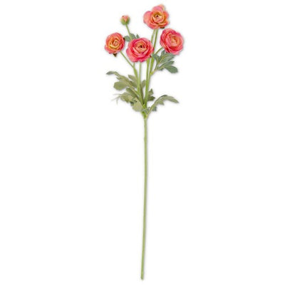 Pink Ranunculus Spray