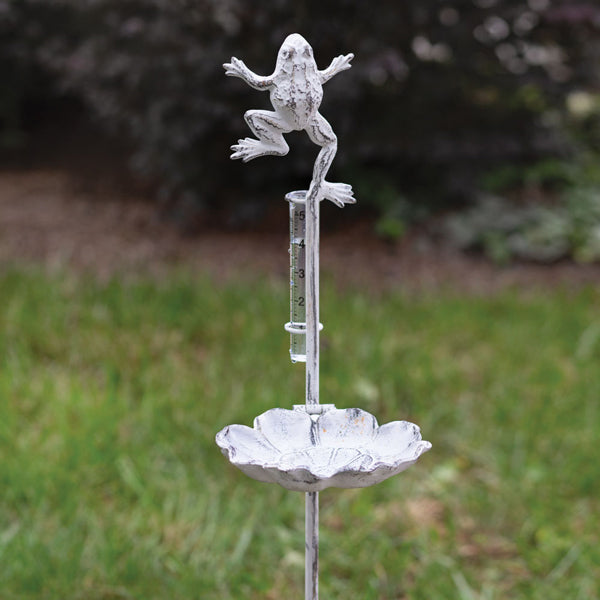 Leapfrog Rain Gauge (store pickup only)