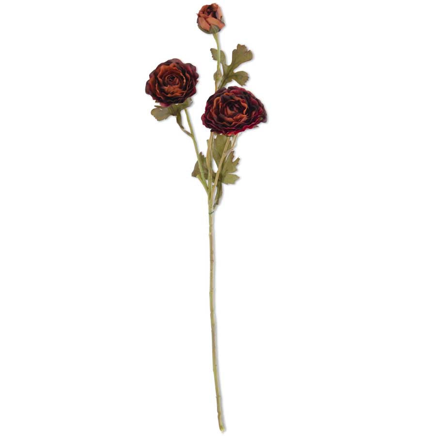 Burgundy Ranunculus Spray