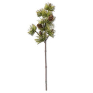 Long Needle Pine Stem with Pinecones