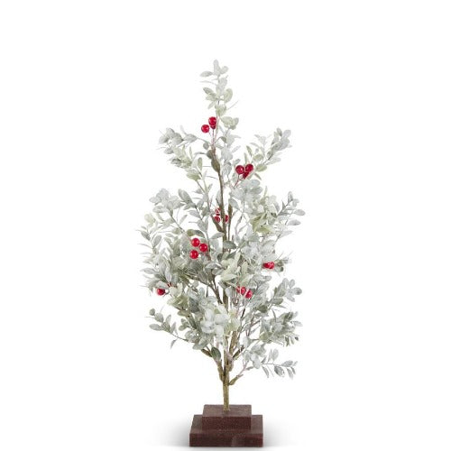 Powdered Boxwood Tree With Red Berries