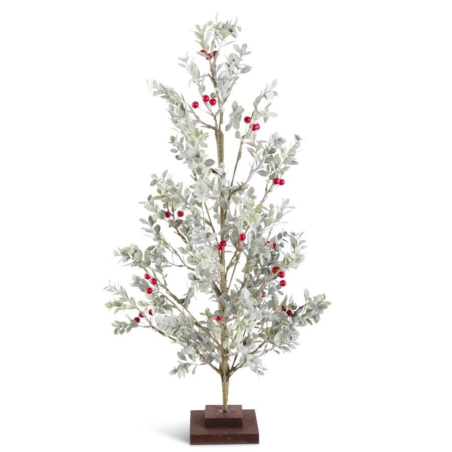 Powdered Boxwood Tree With Red Berries