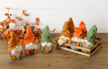 Load image into Gallery viewer, Fall Gnomes - Assorted Colors_CLEARANCE
