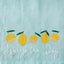 Set of Two Squeeze the Day Kitchen Essentials Set