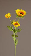 Yellow and Orange Sunflower Stem