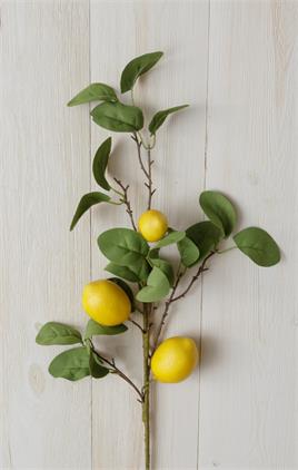 Lemon Branch