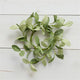 Sage Candle Ring in Shades of Green