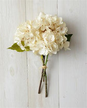 Load image into Gallery viewer, Hydrangea Bunch - various colors
