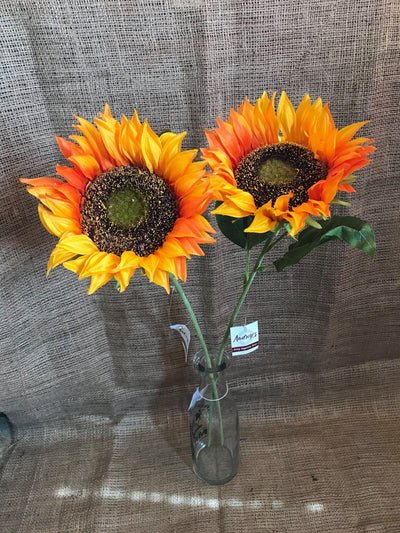 Sunflower Stem