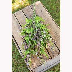 Eucalyptus Lavender Berry Bush