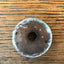Antique Wood Rosette/Escutcheon - 2³⁄₁₆" back