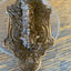 Antique Decorative Bronze Door Bell Lever - 3" x 4⅜" bottom