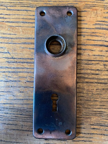 Antique Steel Door Plate - 1⅞" x 5⅝"